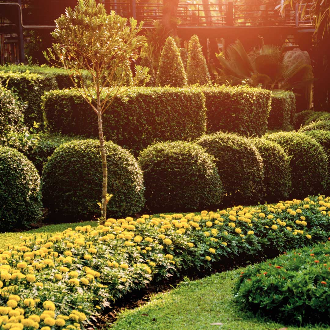 Scinter Bardonecchia