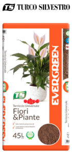 Scinter Bardonecchia | Giardino